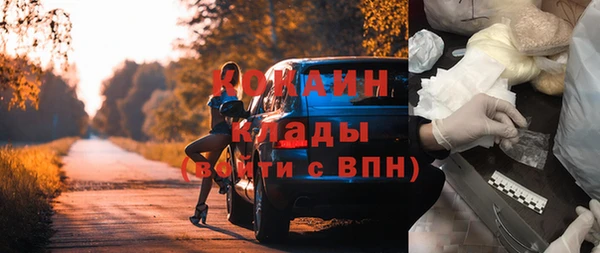 сатива Баксан